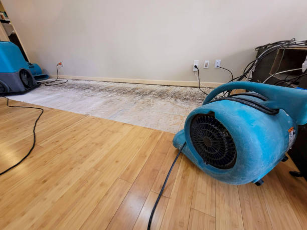 Professional Basement Flood Cleanup technician working in Cooleemee, NC